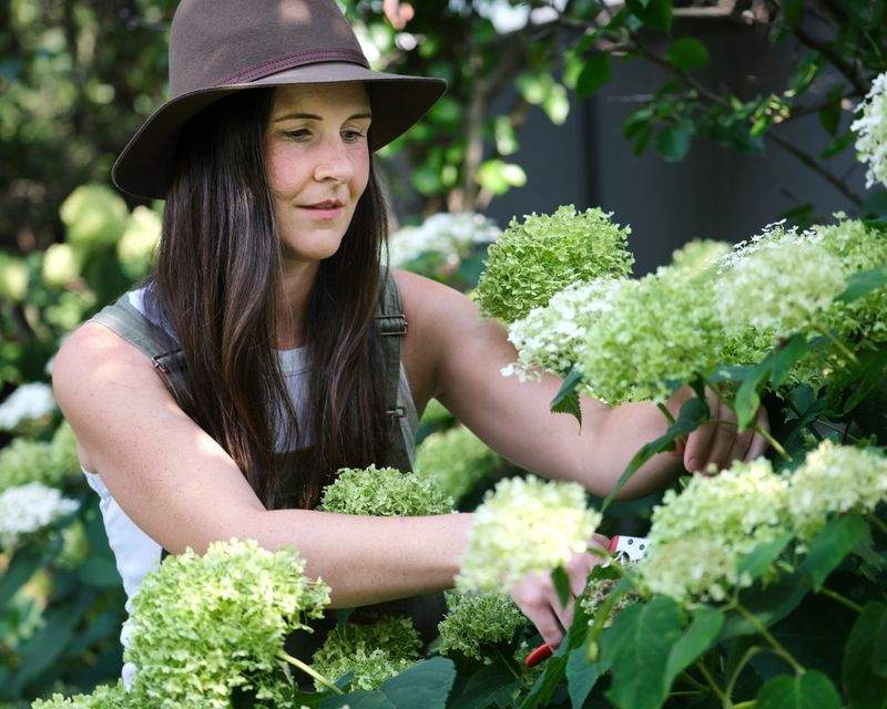 庭園設計・植栽プランニング